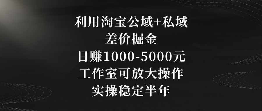 利用淘宝公域+私域差价掘金，日赚1000-5000元，工作室可放大操作