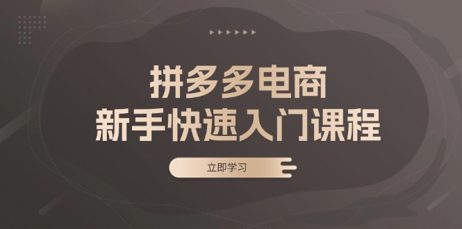 拼多多电商新手快速入门课程：涵盖基础、实战与选款，助力小白轻松上手